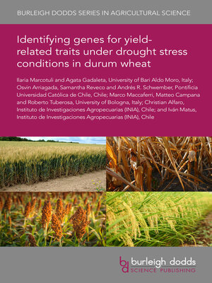 cover image of Identifying genes for yield-related traits under drought stress conditions in durum wheat